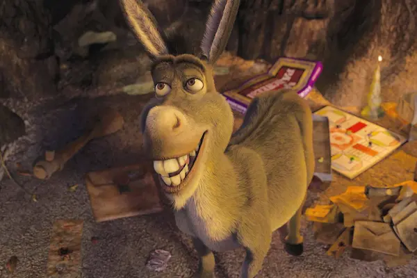 Зритель без компаса