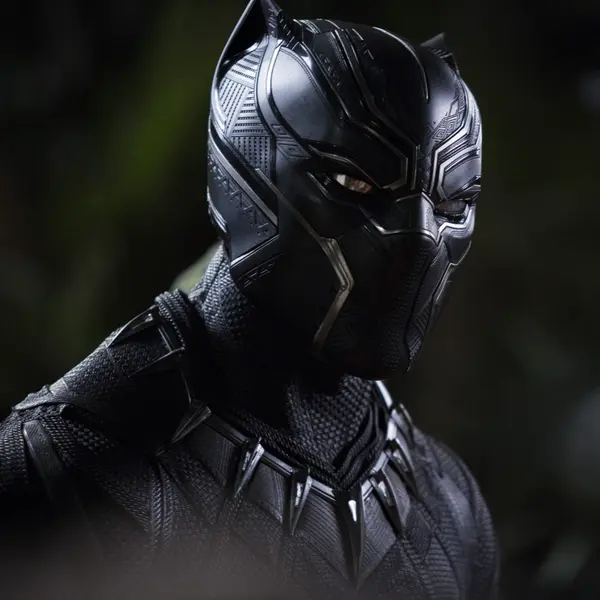 What is Black Panther’s real name?