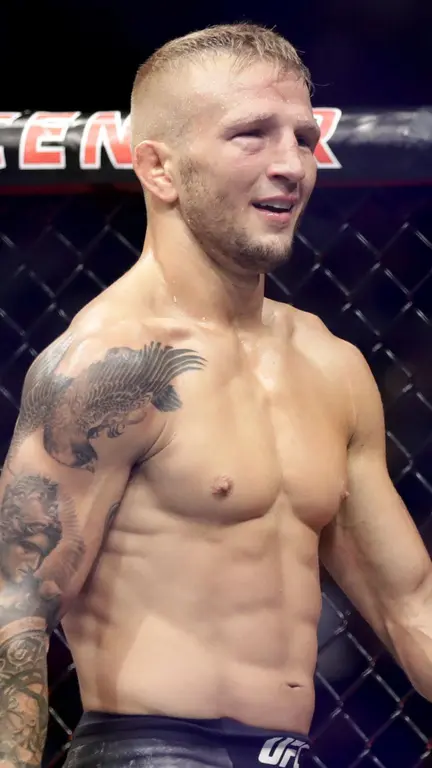 T.J. Dillashaw
