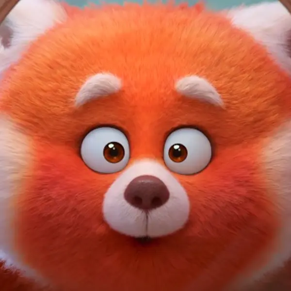 Meilin Lee — a teen who transforms into a giant red panda when emotional.
