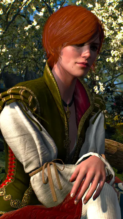 Шани (The Witcher)