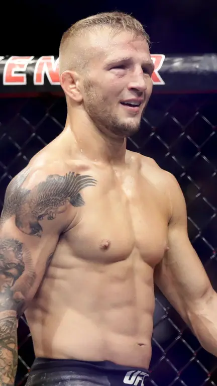 Ти Джей Диллашоу