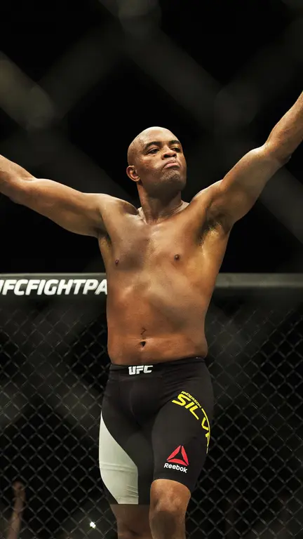 Андерсон Силва