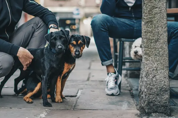 Уверенный любитель