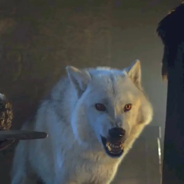 What is the name of Jon Snow’s direwolf?